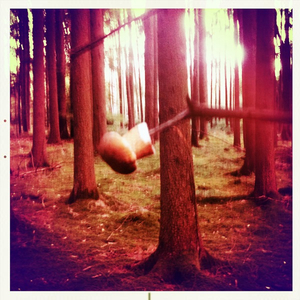 Hip 335549068.202702