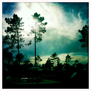 Hip 335380781.332911