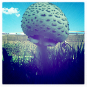 Hip 335563144.864234