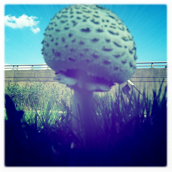 Hip 335563144.864234