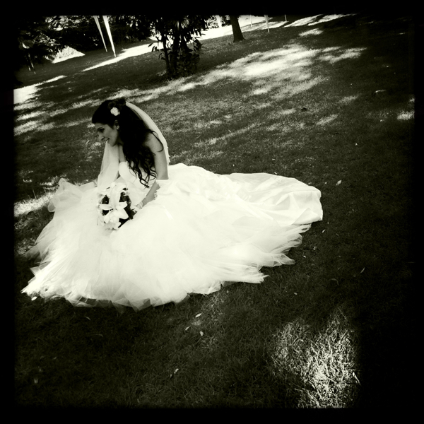 Hip 333124843.773079