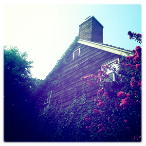 Hip 335563408.394301