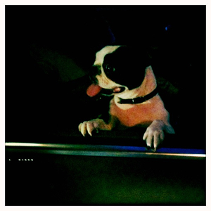 Hip 335560068.754141