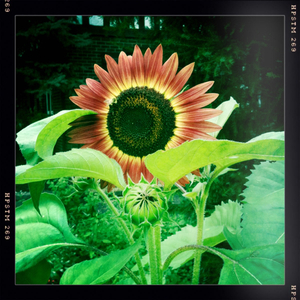 Hip 335563823.931890