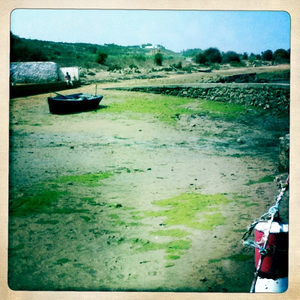 Hip 335010993.255094