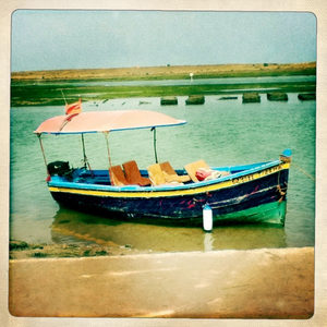 Hip 335010901.255993