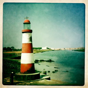 Hip 335010891.986887