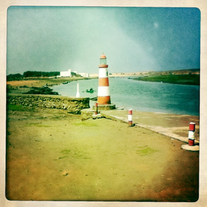 Hip 335010798.215582