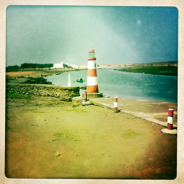 Hip 335010798.215582