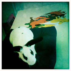 Hip 335564314.092637