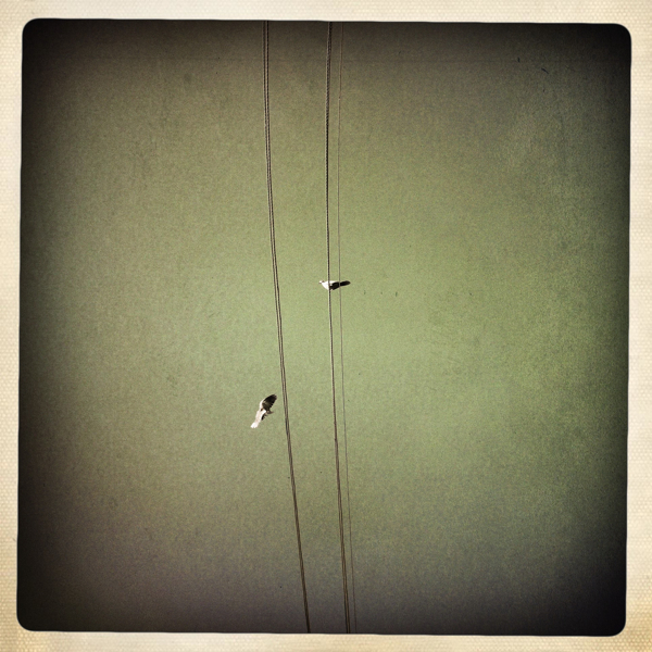 Hip 333819410.255800