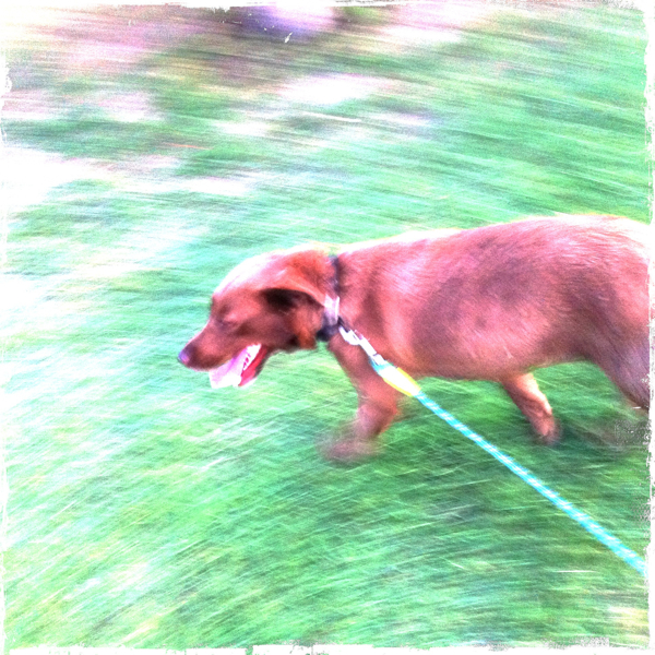 Hip 333394228.467514