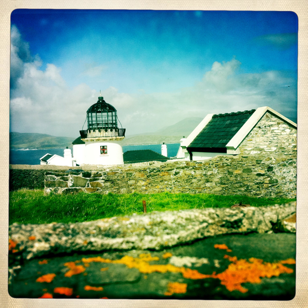 Hip 335542845.309229