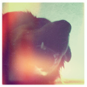 Hip 335567467.194567