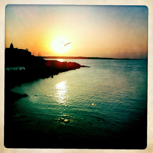 Hip 335551263.576321