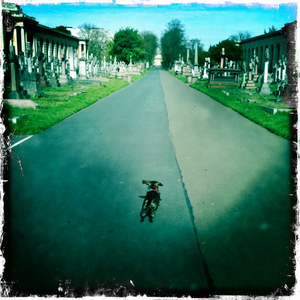 Hip 323776519.092748