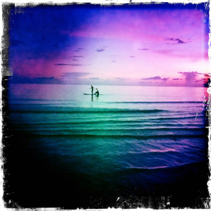 Hip 335493001.681627