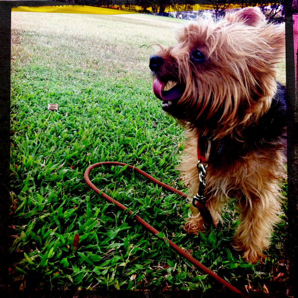 Hip 334554135.949179