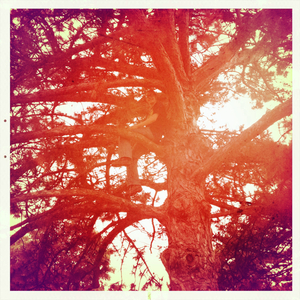 Hip 330722111.318541