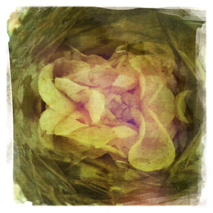 Hip 318199127.058213