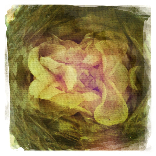 Hip 318199127.058213