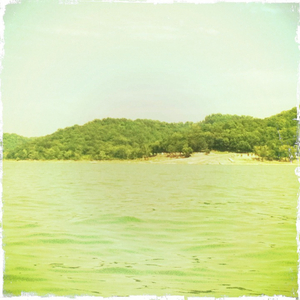 Hip 331403629.006008