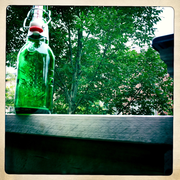 Hip 335571165.506672