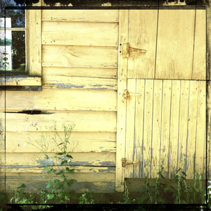 Hip 331308888.219502