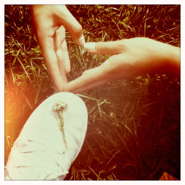 Hip 335296032.826044