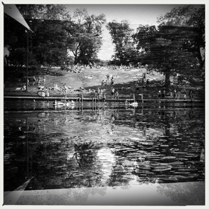 Hip 335570426.632381