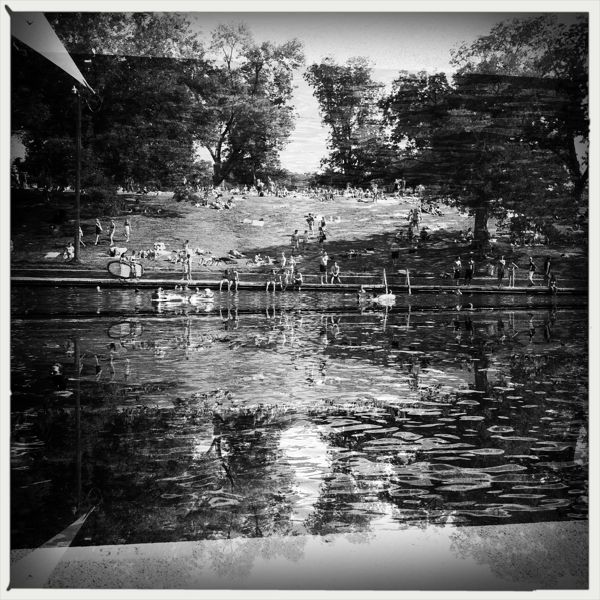 Hip 335570426.632381