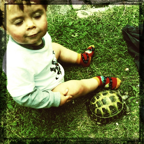 Hip 333817775.067074