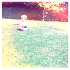 Hip 333818464.044228