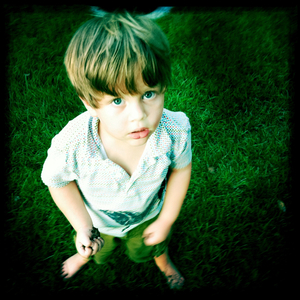 Hip 335573349.832553