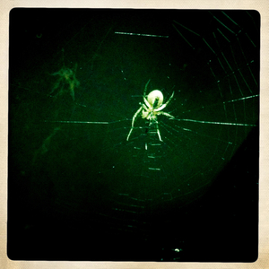 Hip 335572688.243696