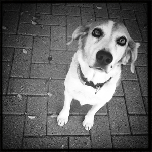 Hip 335574622.715108