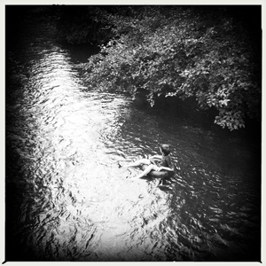 Hip 335061142.672992