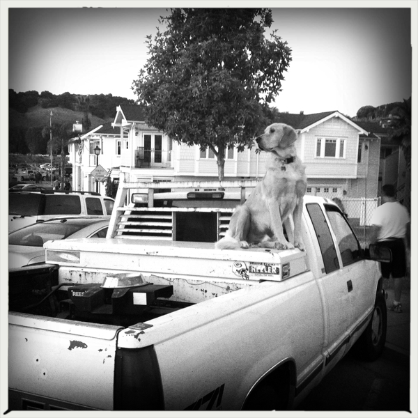 Hip 335501759.433125