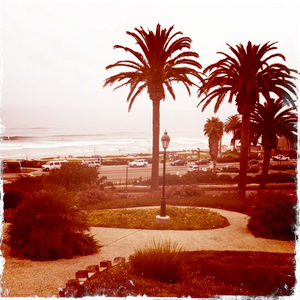 Hip 335378796.404114