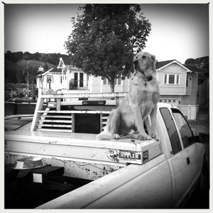 Hip 335501807.668333