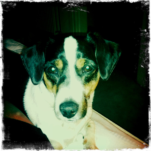 Hip 335575196.665296