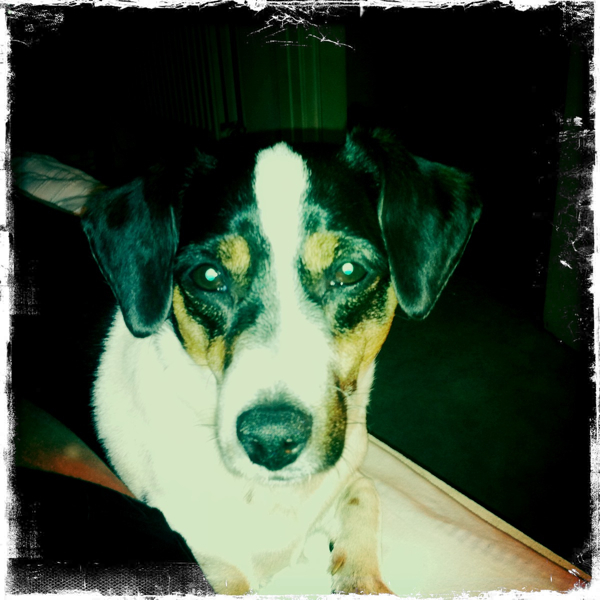 Hip 335575196.665296