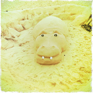 Hip 334361059.644171