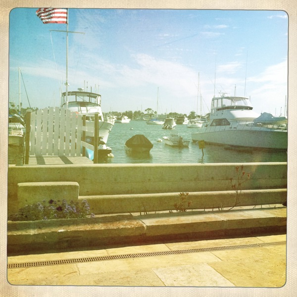 Hip 335576688.634094