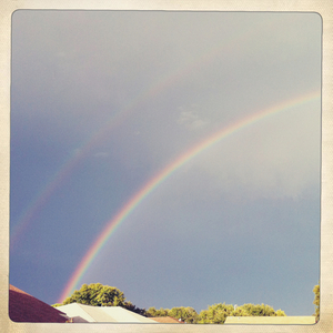 Hip 335574685.101687