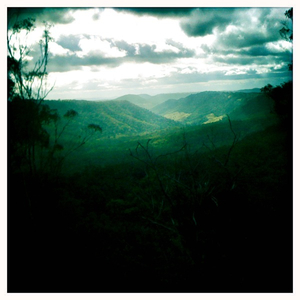 Hip 335505915.481146