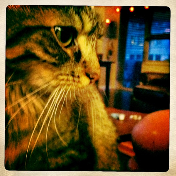 Hip 335577345.902237