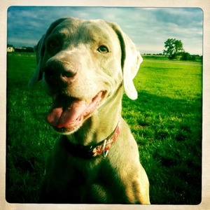 Hip 335573695.892933