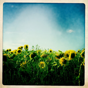 Hip 335568023.608610