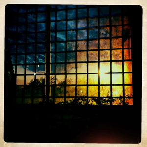 Hip 335471021.470781